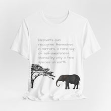 Load image into Gallery viewer, From the gallery to the street! Click the logo to view.