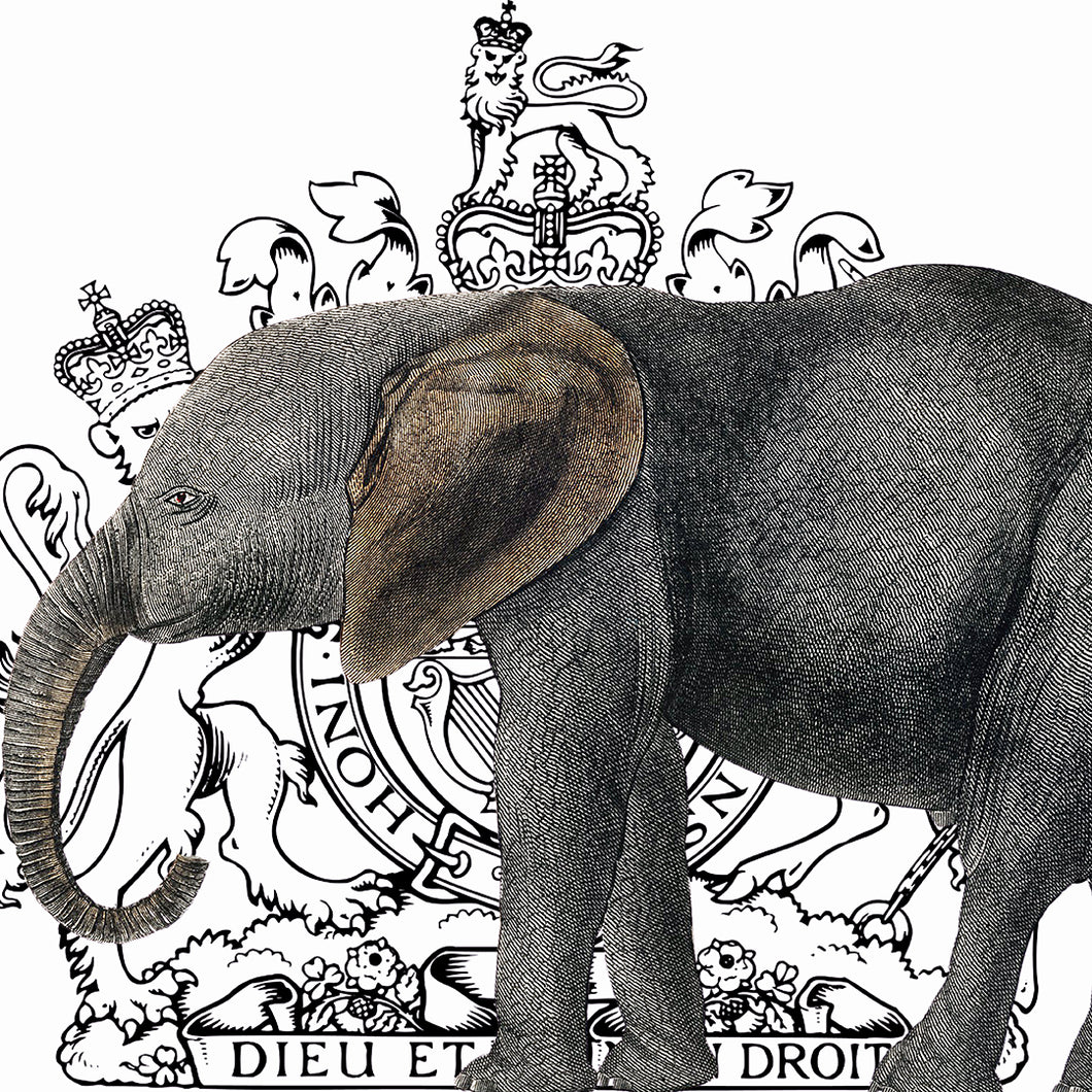 Royal Elephant (white) - Chloe Rox Design - Digital print - UK Art