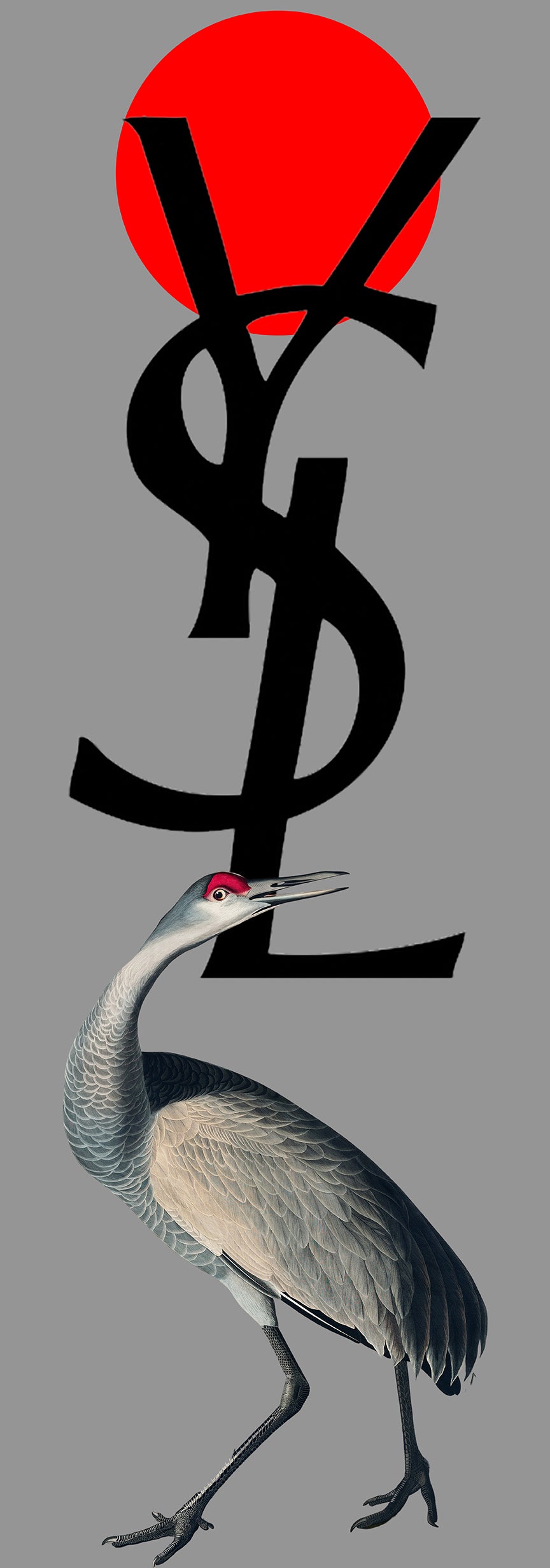 Crane YSL (Grey) - Chloe Rox Design - Digital print - UK Art