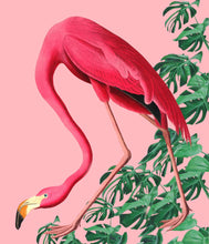 Load image into Gallery viewer, Flamingo on pink - Chloe Rox Design - Digital print - UK Art
