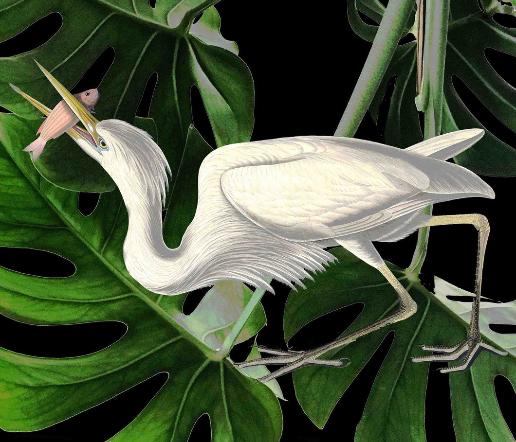 Heron (Black foliage) - Chloe Rox Design - Digital print - UK Art