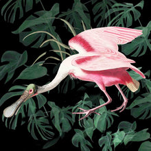 Load image into Gallery viewer, Spoonbill (Black foliage) - Chloe Rox Design - Digital print - UK Art
