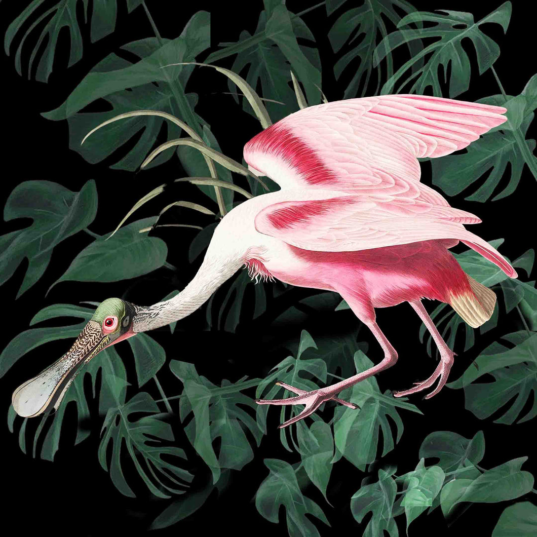 Spoonbill (Black foliage) - Chloe Rox Design - Digital print - UK Art