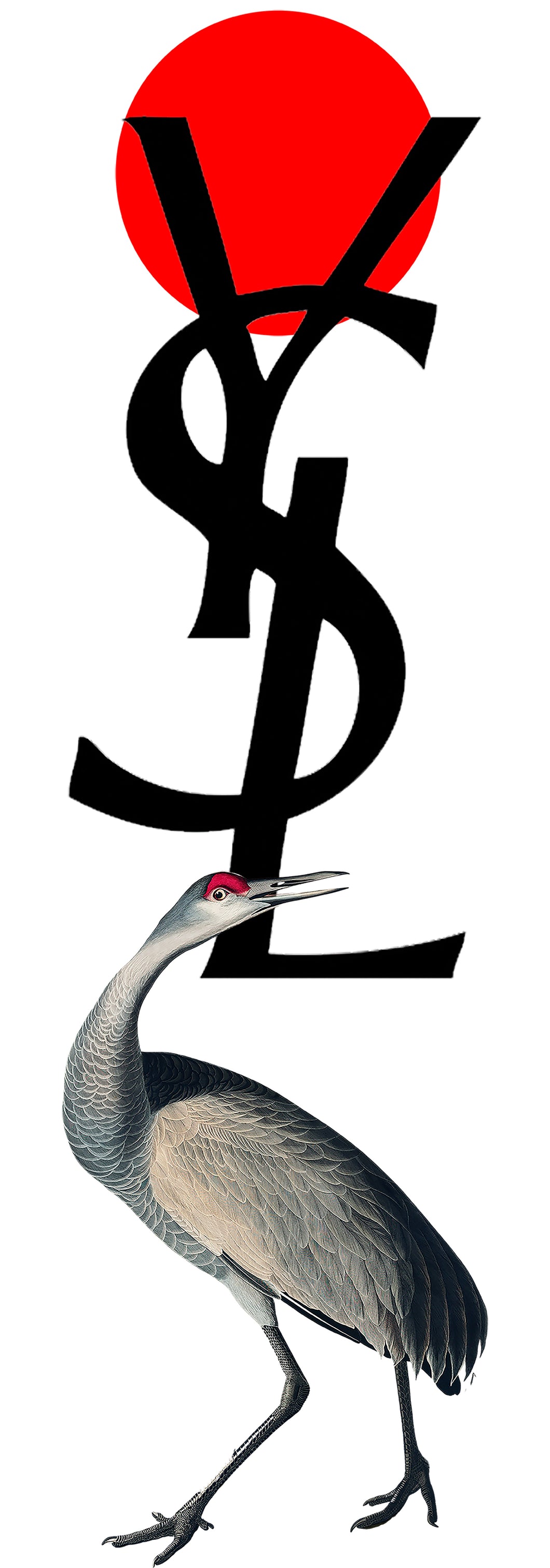 Crane YSL (White) - Chloe Rox Design - Digital print - UK Art