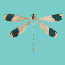 Load image into Gallery viewer, Dragon fly on green - Chloe Rox Design - Digital print - UK Art
