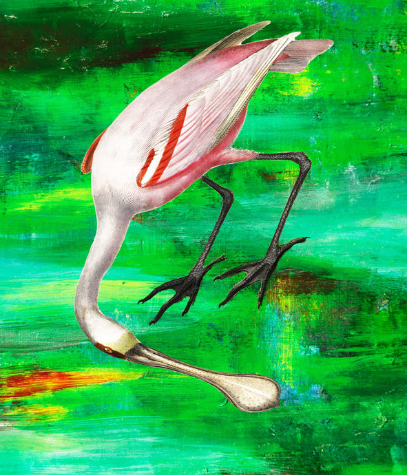 Spoonbill on green - Chloe Rox Design - Digital print - UK Art